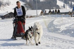 Lenk 2012 SM